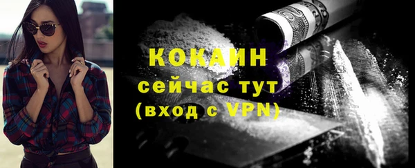 эйфоретик Гусь-Хрустальный