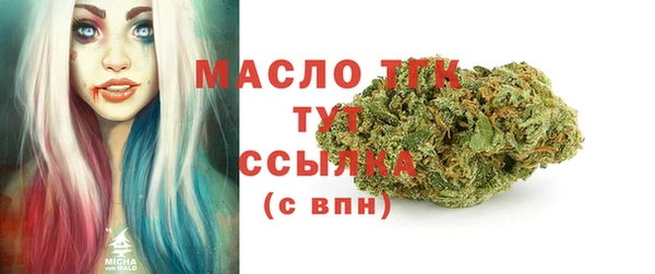 эйфоретик Гусь-Хрустальный