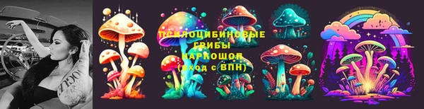 индика Гусиноозёрск