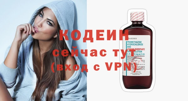 индика Гусиноозёрск