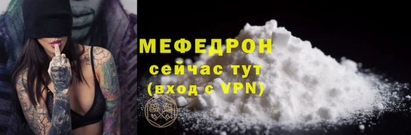 индика Гусиноозёрск