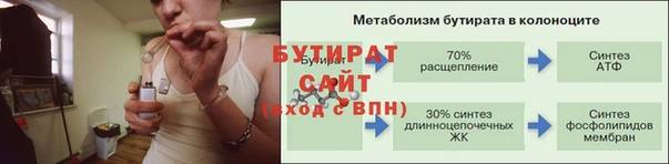 индика Гусиноозёрск