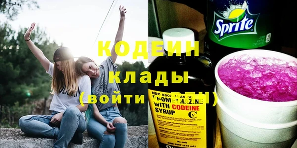индика Гусиноозёрск