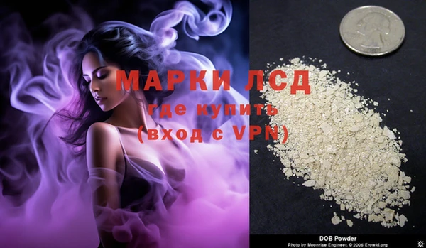 индика Гусиноозёрск
