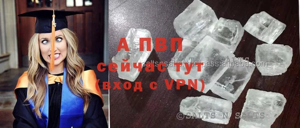 индика Гусиноозёрск