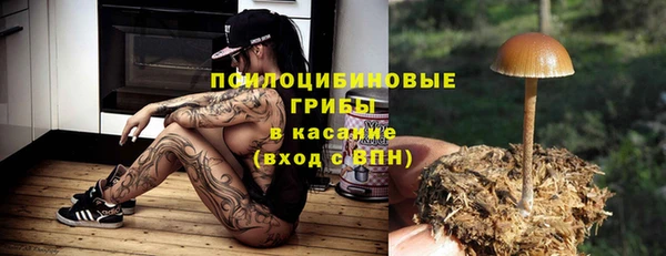 mix Гусев