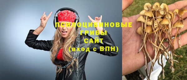 mix Гусев