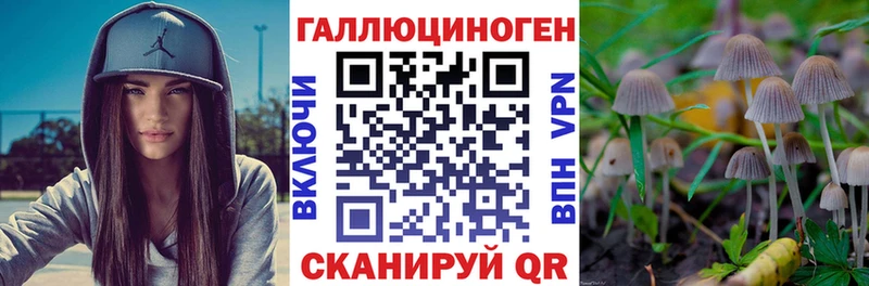 Псилоцибиновые грибы Psilocybe Купить закладки Краснокамск
